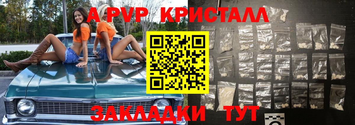 Альфа ПВП СК КРИС Великие Луки