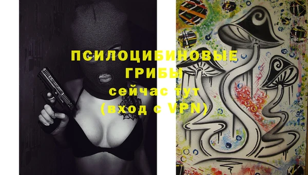 spice Белокуриха