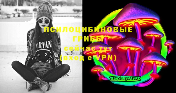 spice Белокуриха