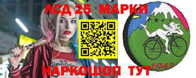 кокс Гудермес