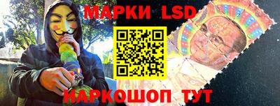 крисы Новозыбков