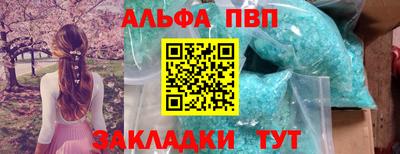 крисы Новозыбков
