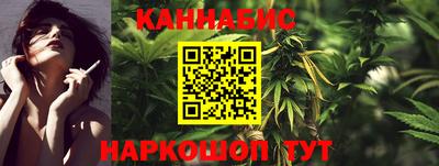 индика Новодвинск