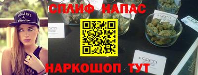 крисы Новозыбков