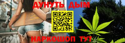 индика Новодвинск