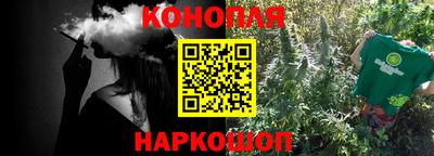 индика Новодвинск