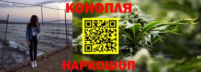 крисы Новозыбков
