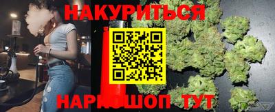 крисы Новозыбков