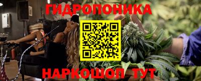 крисы Новозыбков
