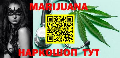 индика Новодвинск
