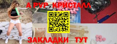 индика Новодвинск