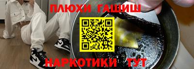 индика Новодвинск