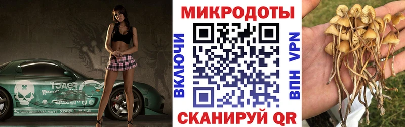 мориарти состав Великие Луки Галлюциногенные грибы Psilocybe